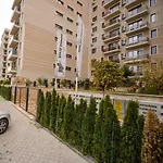 Apartamento Solid